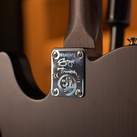 Fender George Harrison Telecaster - Rosewood (2021)