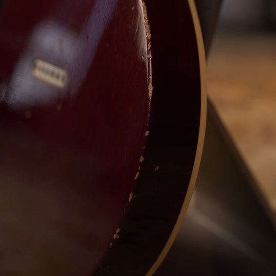 Fano Guitars Alt de Facto SP6 - Gold Top