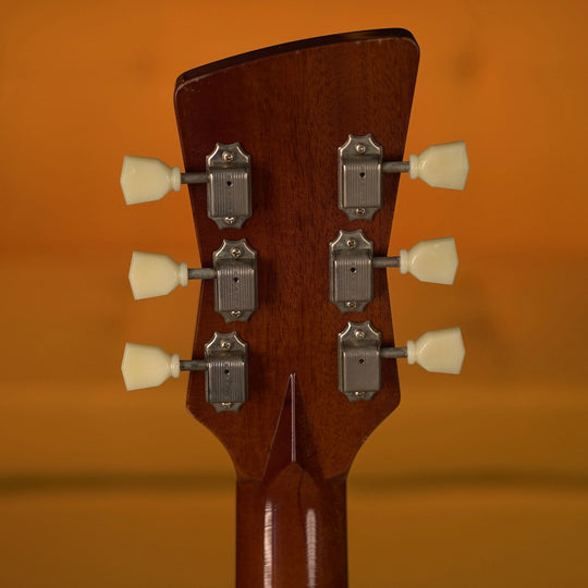 Frank Brothers Arcade One - Gold Top