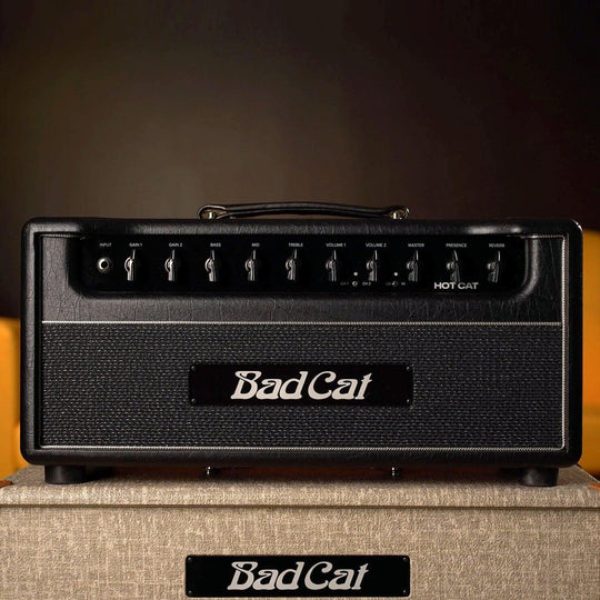 Bad Cat Hot Cat Head - Black