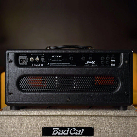 Bad Cat Hot Cat Head - Black