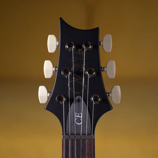 PRS CE 22 - Sprayer's Choice (Carroll Blue w/ Silver back and Black Satin Neck)