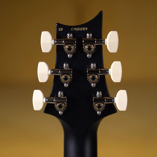 PRS CE 22 - Sprayer's Choice (Carroll Blue w/ Silver back and Black Satin Neck)