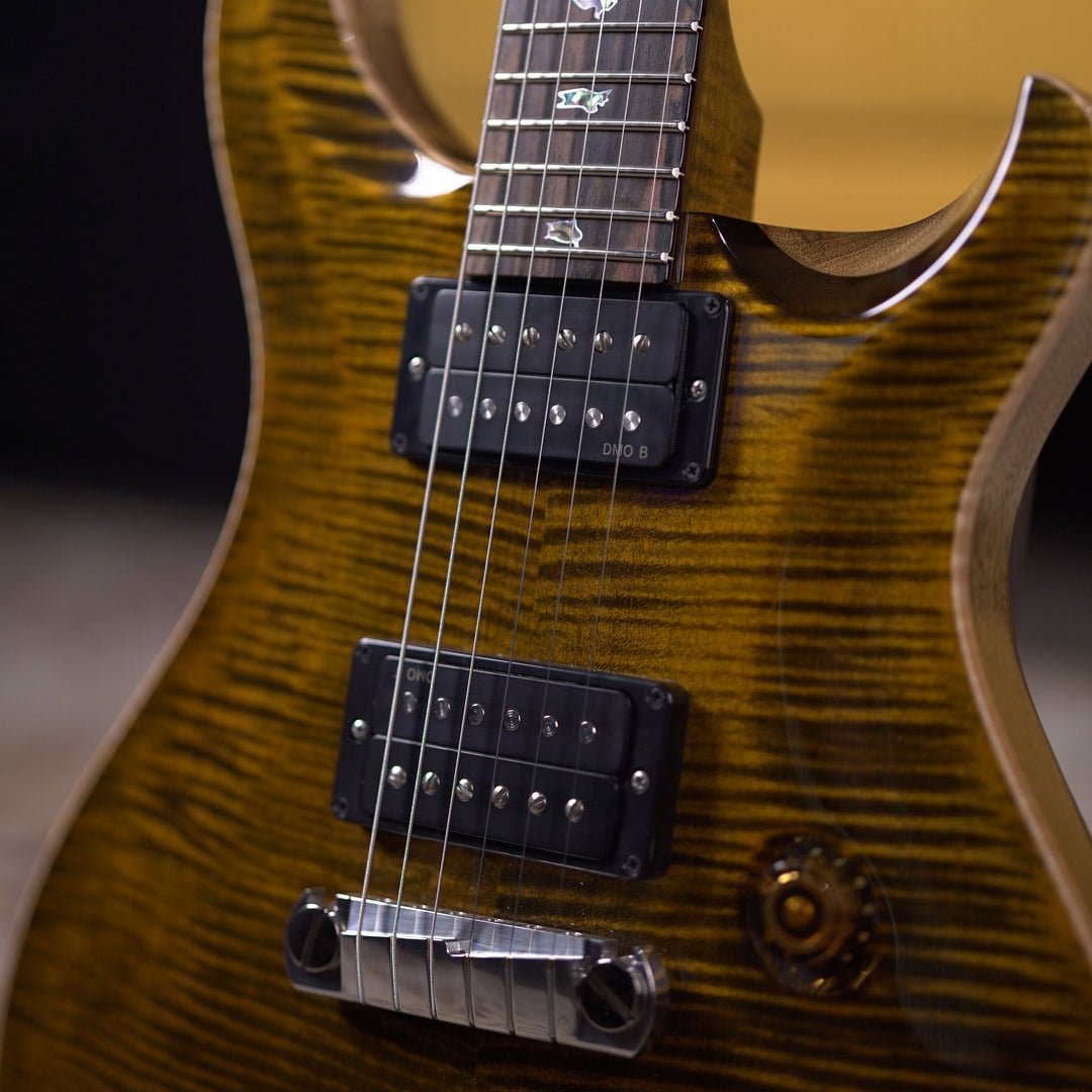 PRS Custom 24 Stoptail LTD Wood Library - PS Tigers Eye