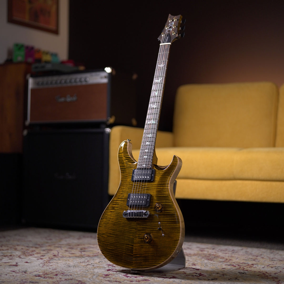 PRS Custom 24 Stoptail LTD Wood Library - PS Tigers Eye