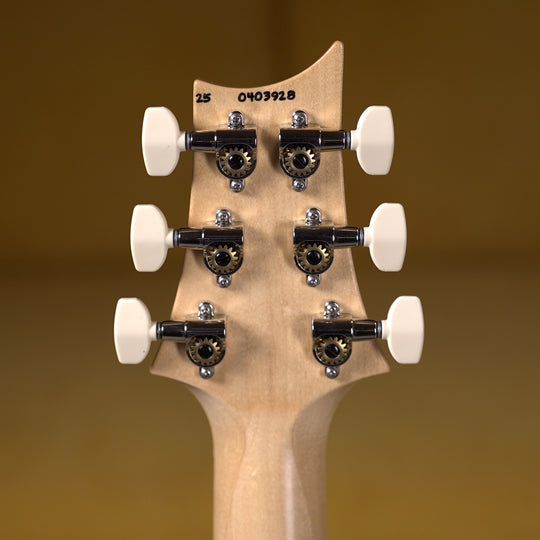 PRS NF 53 - Black Doghair