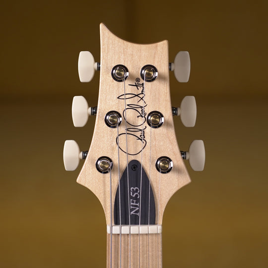 PRS NF 53 - Black Doghair