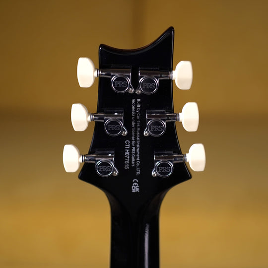 PRS SE Hollowbody Standard - Dog Hair Smokeburst