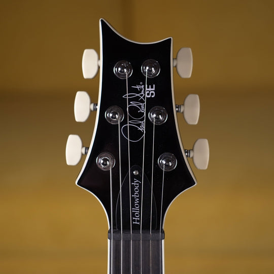 PRS SE Hollowbody Standard - Dog Hair Smokeburst