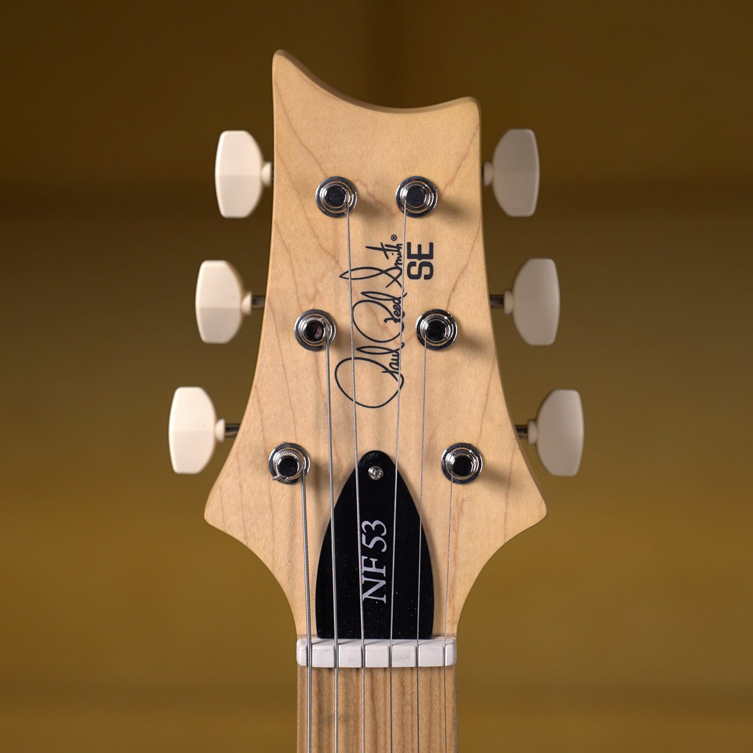 PRS SE NF 53 - Black Doghair