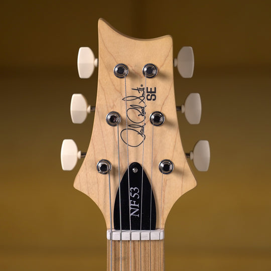 PRS SE NF 53 - Black Doghair