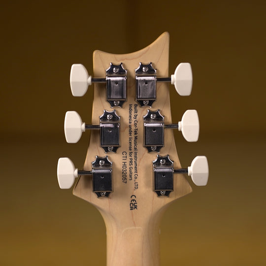 PRS SE NF 53 - Black Doghair