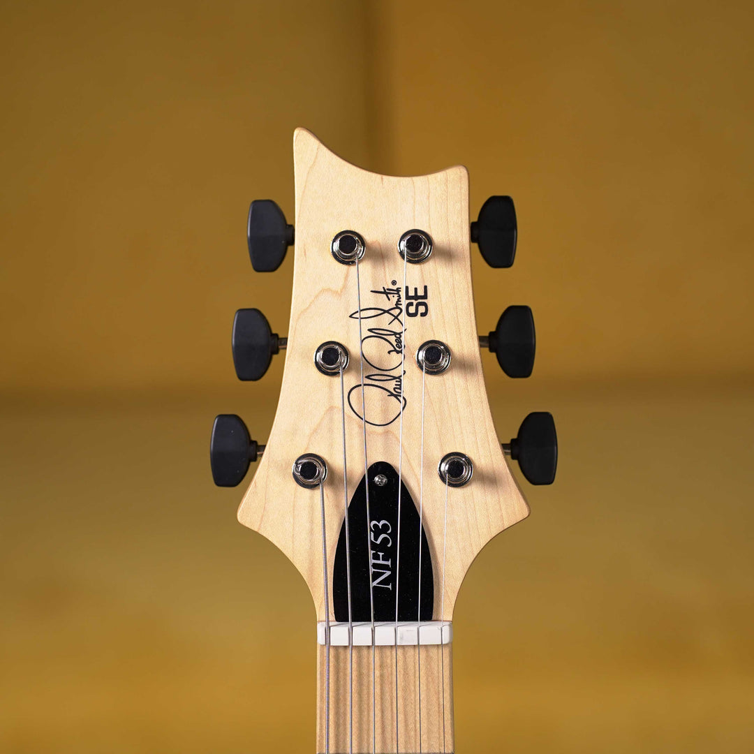 PRS SE NF 53 - White Doghair