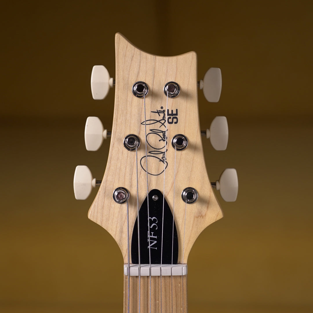 PRS SE NF 53 - White Doghair