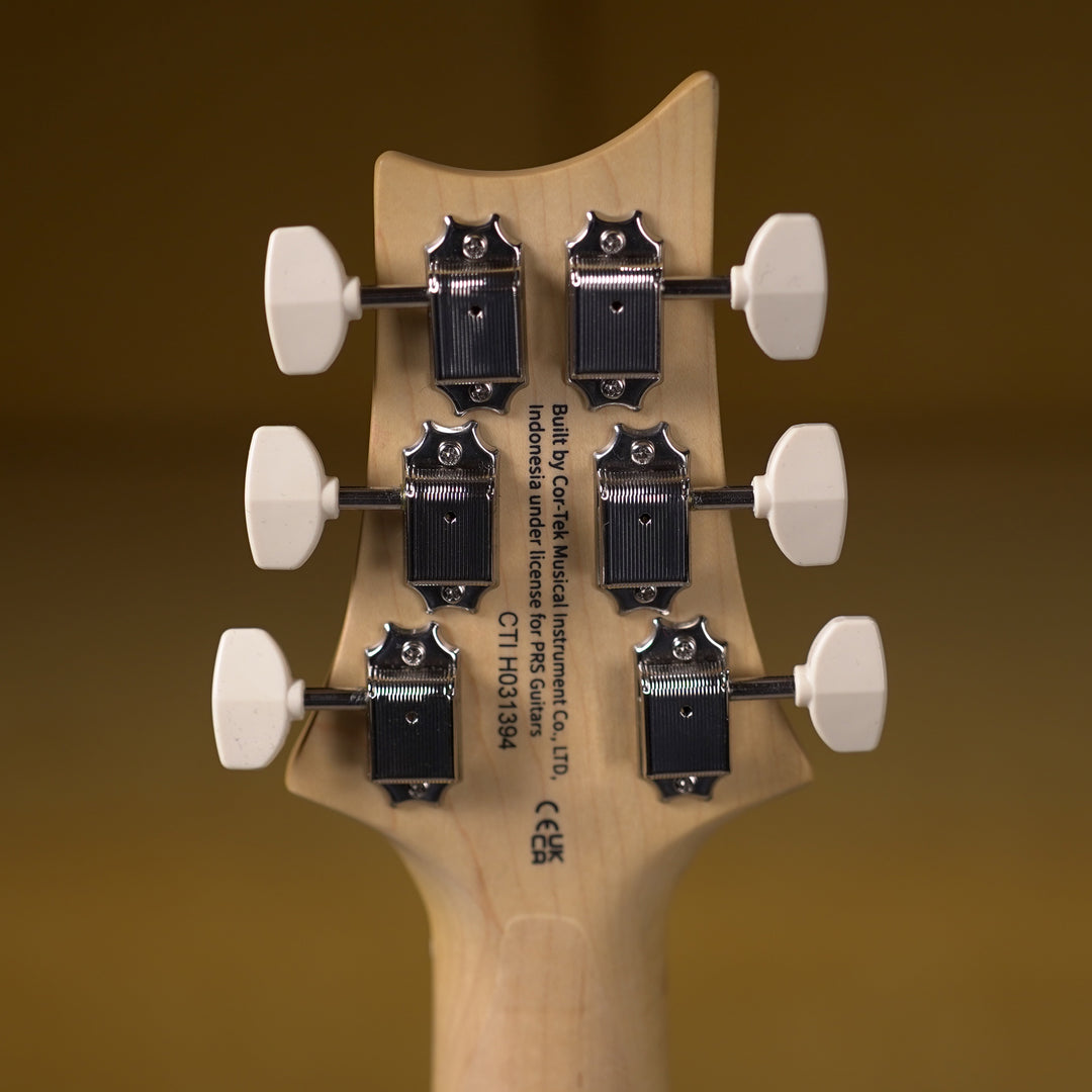 PRS SE NF 53 - White Doghair