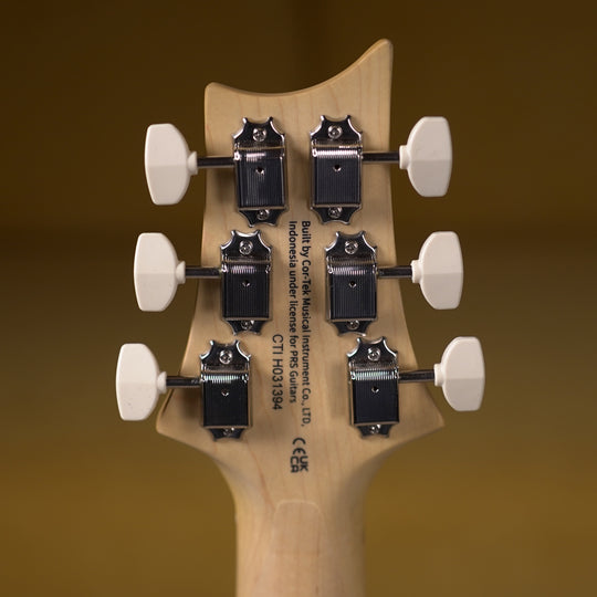 PRS SE NF 53 - White Doghair