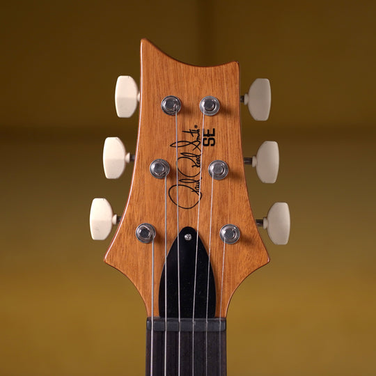 PRS SE Paul's Guitar - Slate Blue