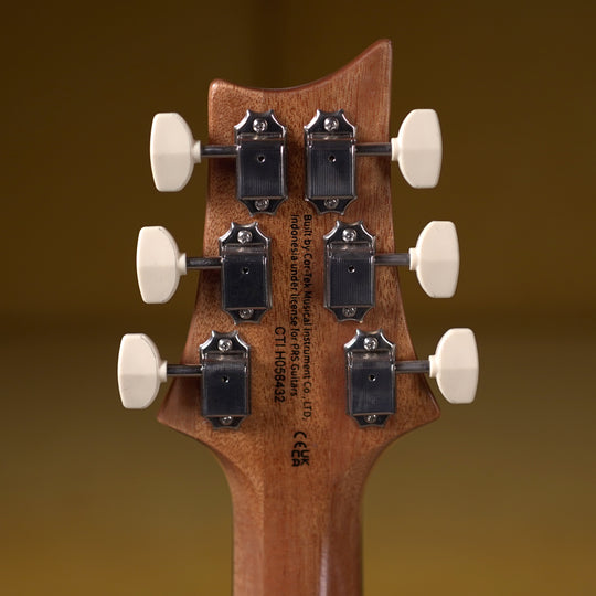 PRS SE Paul's Guitar - Slate Blue