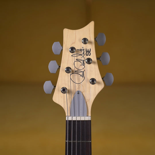 PRS SE Silver Sky Maple - Laurel Green