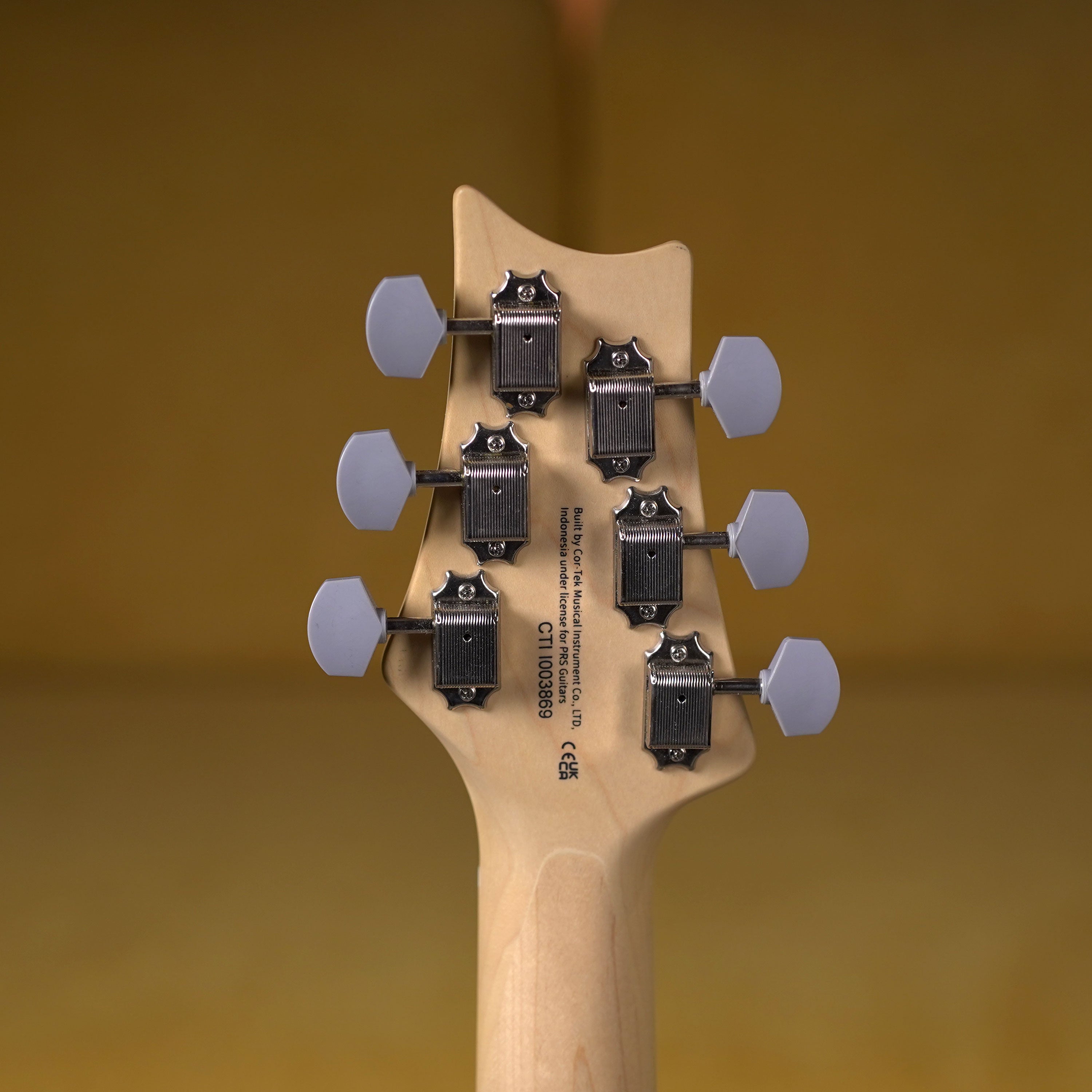 PRS SE Silver Sky Maple - Nylon Blue – High Voltage Guitars