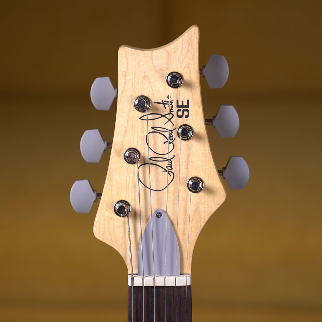 PRS SE Silver Sky Rosewood - Derby Red