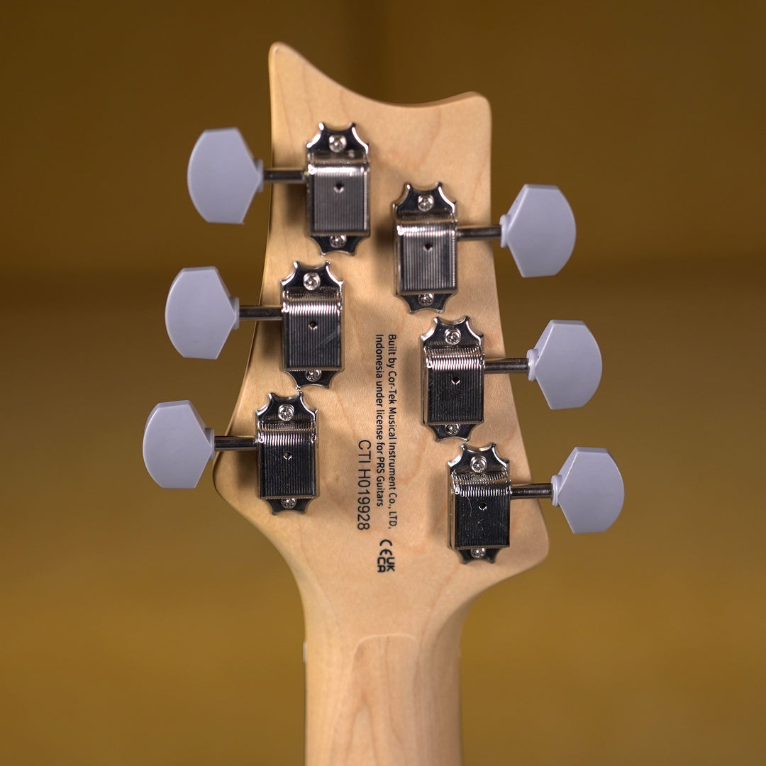 PRS SE Silver Sky Rosewood - Trad Blue