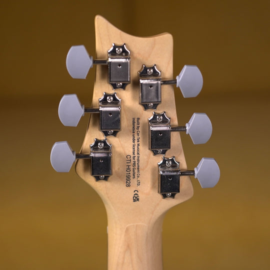 PRS SE Silver Sky Rosewood - Trad Blue