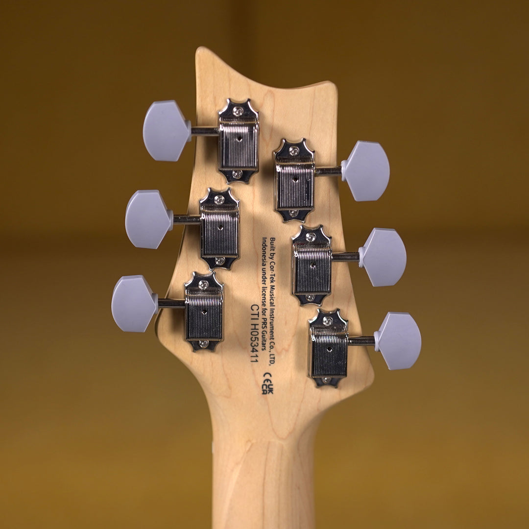 PRS SE Silver Sky Maple - Stone Blue