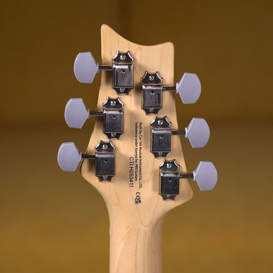 PRS SE Silver Sky Maple - Stone Blue