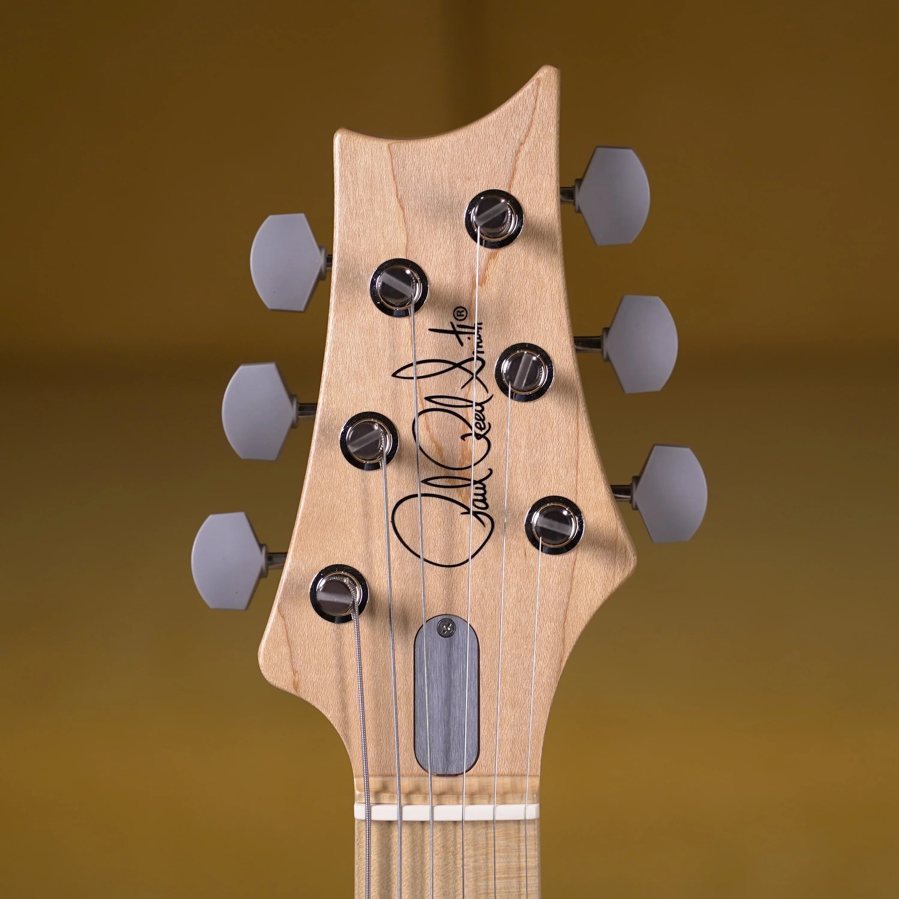 PRS Silver Sky Maple - Frost – High Voltage Guitars