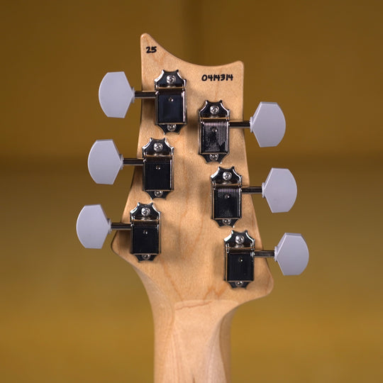 PRS Silver Sky Maple - Frost