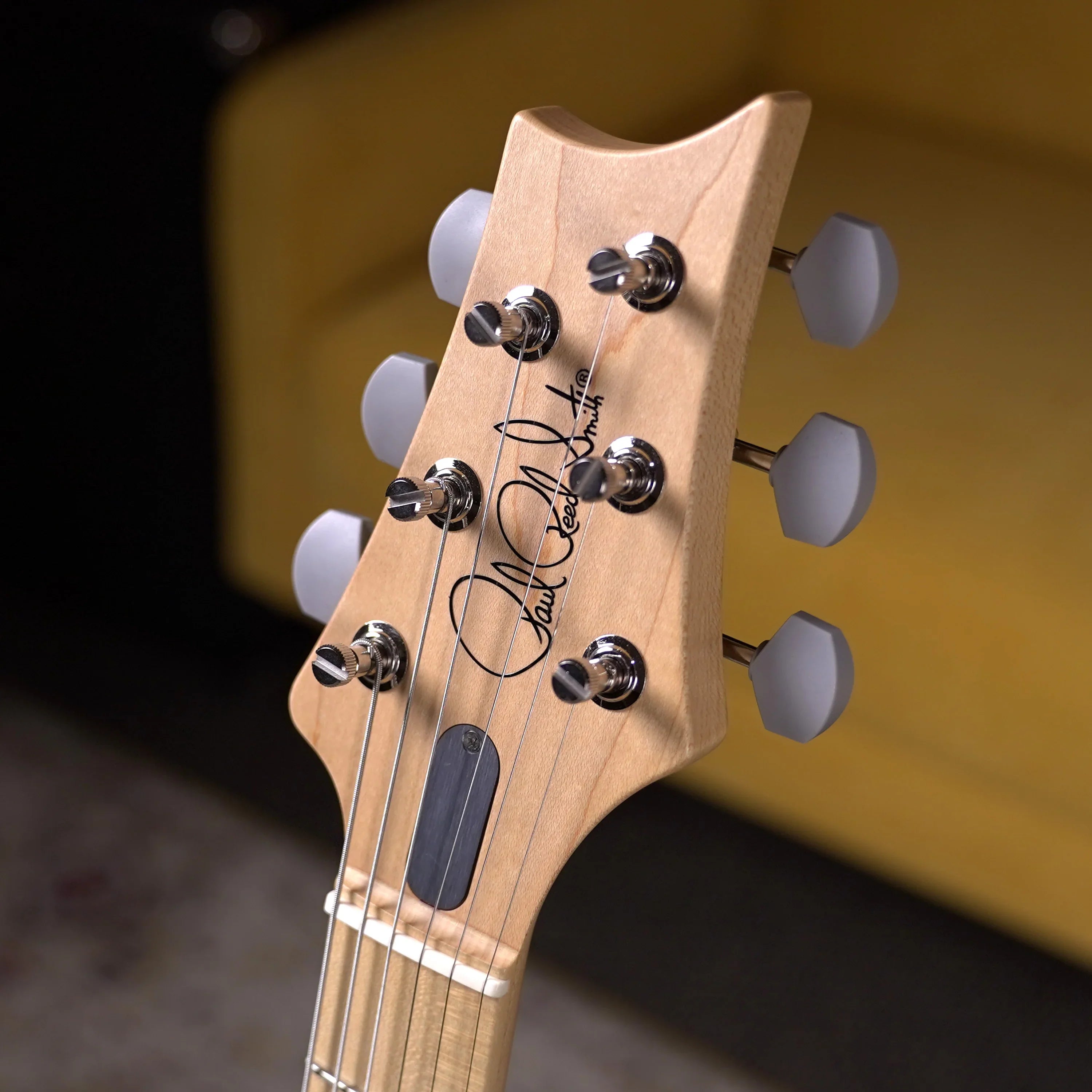 PRS Silver Sky Maple - Frost – High Voltage Guitars