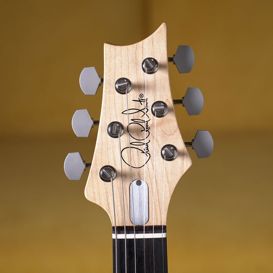 PRS Silver Sky Rosewood - Moc Sand Satin