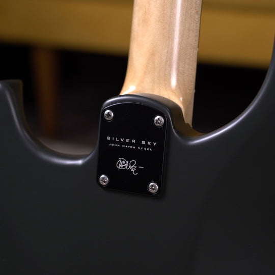 PRS Silver Sky Rosewood - Faded Black Tee