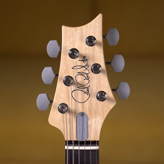 PRS Silver Sky Rosewood - Faded Black Tee