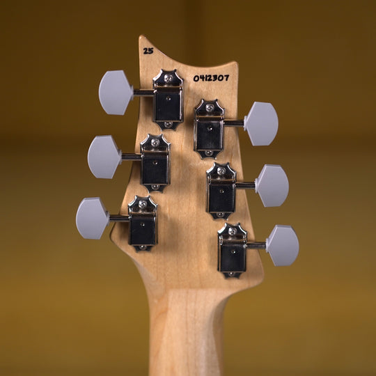 PRS Silver Sky Rosewood - Polar Blue