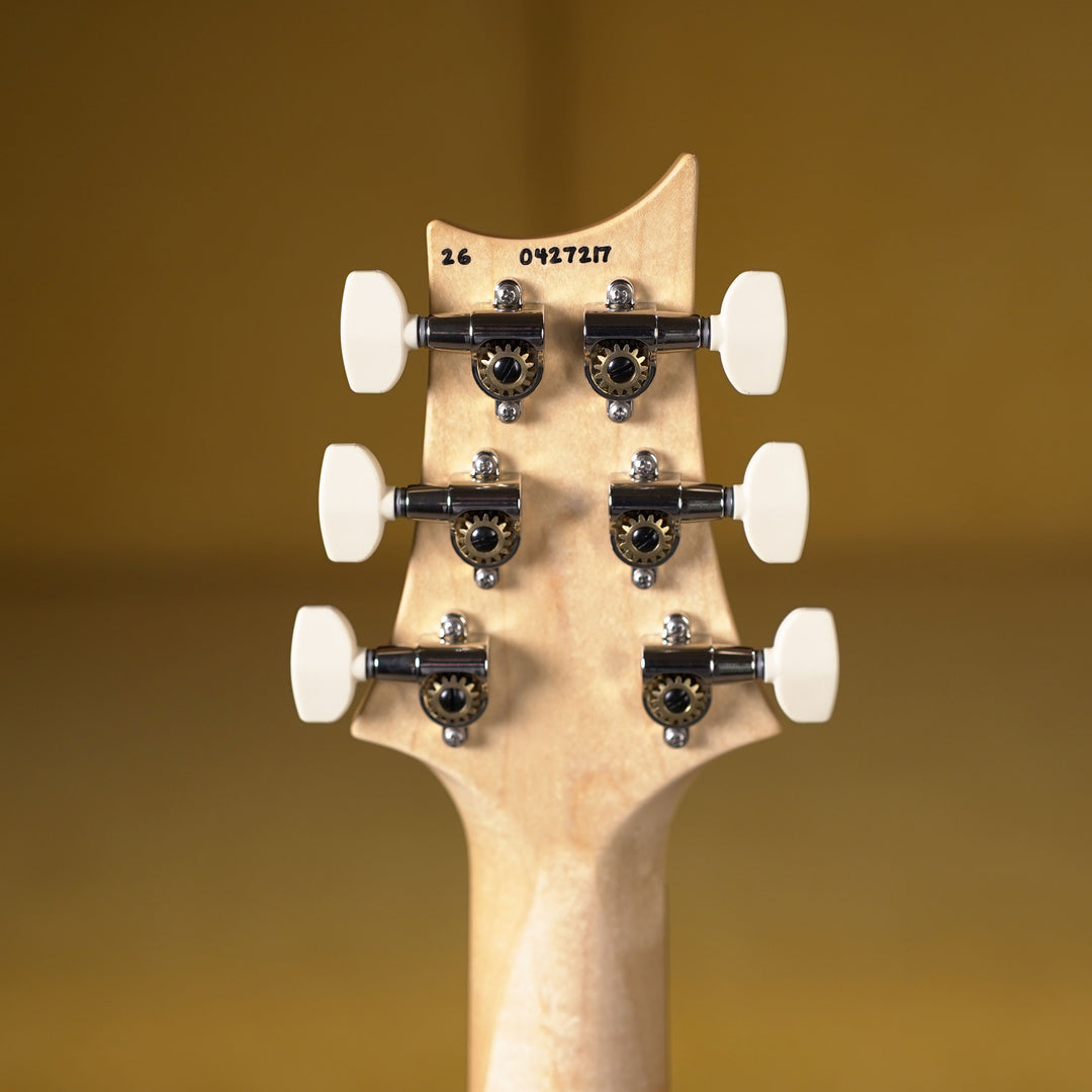 PRS Swamp Ash Special Rosewood - Vintage Natural