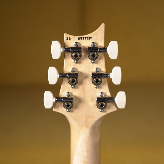 PRS Swamp Ash Special Rosewood - Vintage Natural