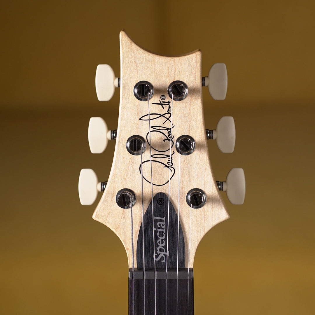 PRS Swamp Ash Special Rosewood - Vintage Natural