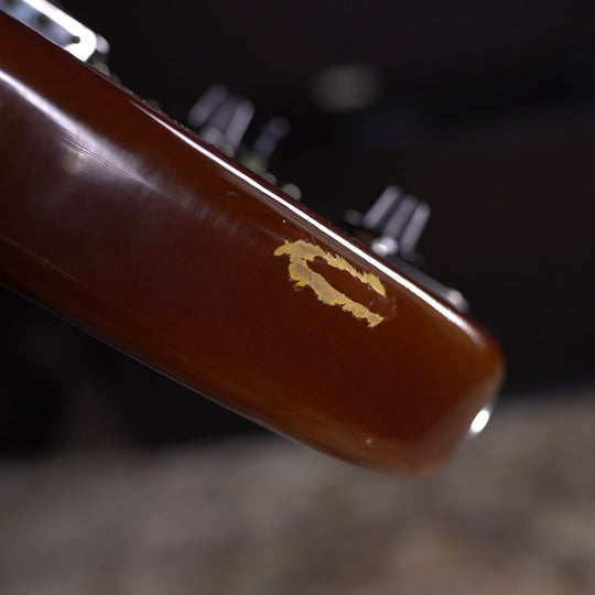 2015 Swope Geronimo Show Pony