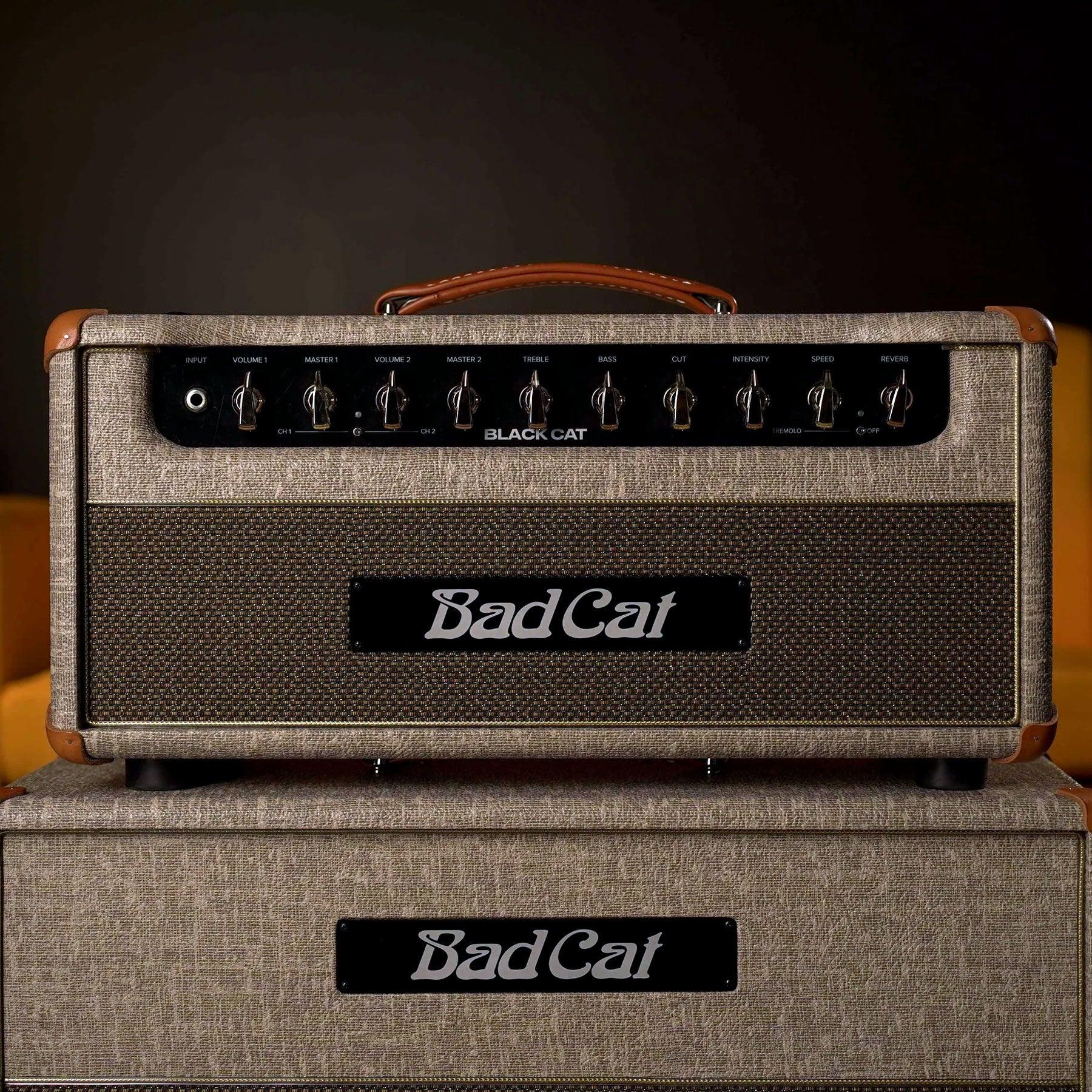 Bad Cat Black Cat Head w/ Custom 2x10 Cab - Fawn – High Bad Cat Black Cat Head w/ Custom 2x10 Cab - Fawn – High