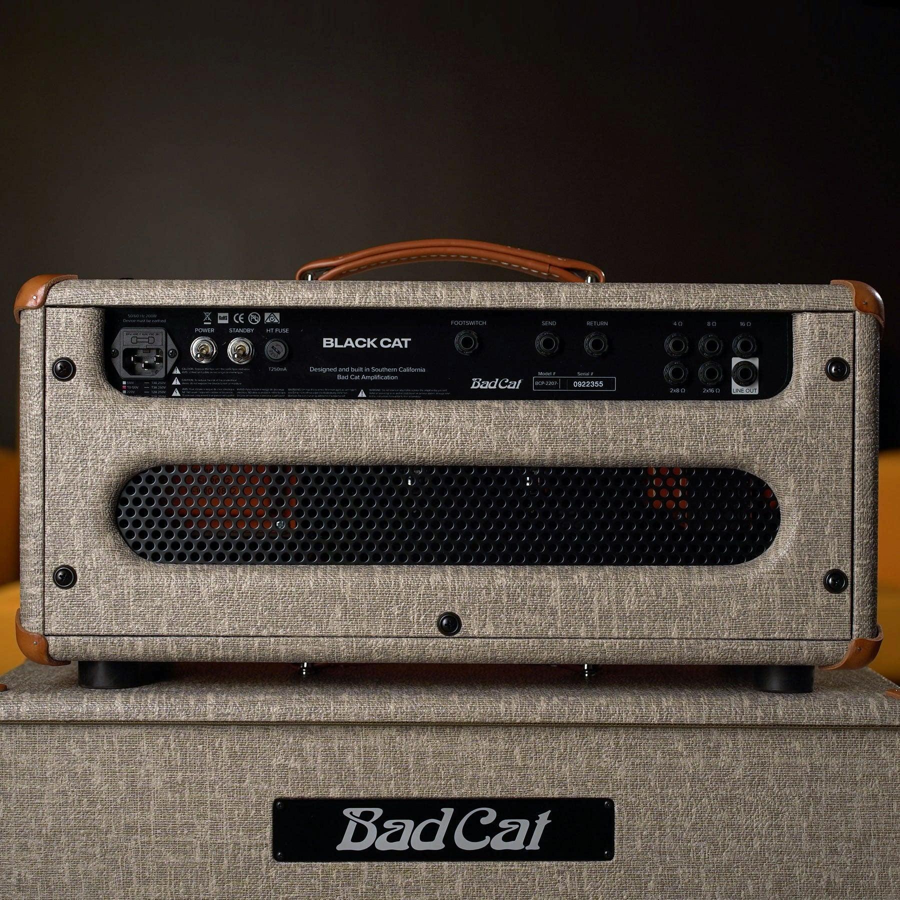 邦楽 MACCHO/HIGHER THAN HIGH Bad Cat Black Cat Head w/ Custom 2x10 Cab - Fawn – High