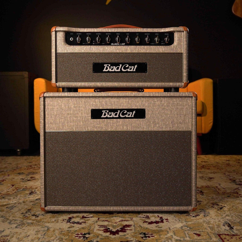 Bad Cat Black Cat Head w/ Custom 2x10 Cab - Fawn – High