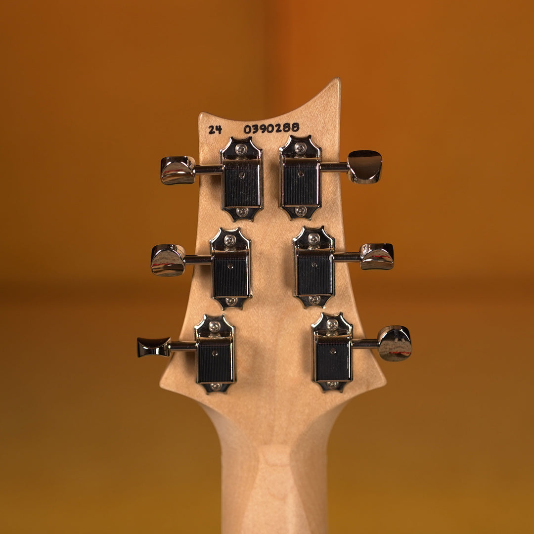 2024 PRS Fiore - Amaryllis