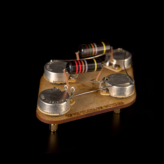 HVG Les Paul Pre-Wired Kit